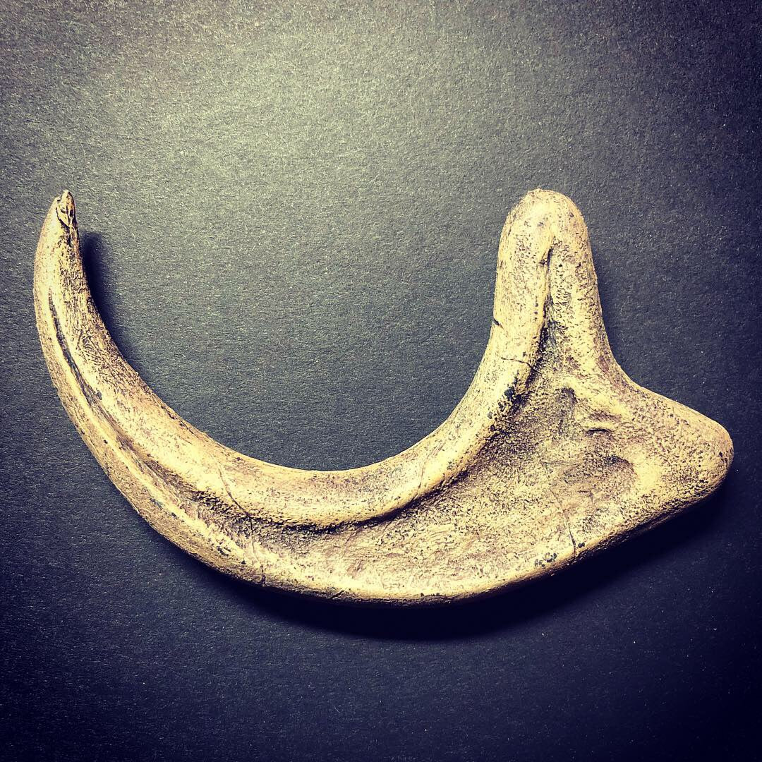 Raptor Claw Tape Head