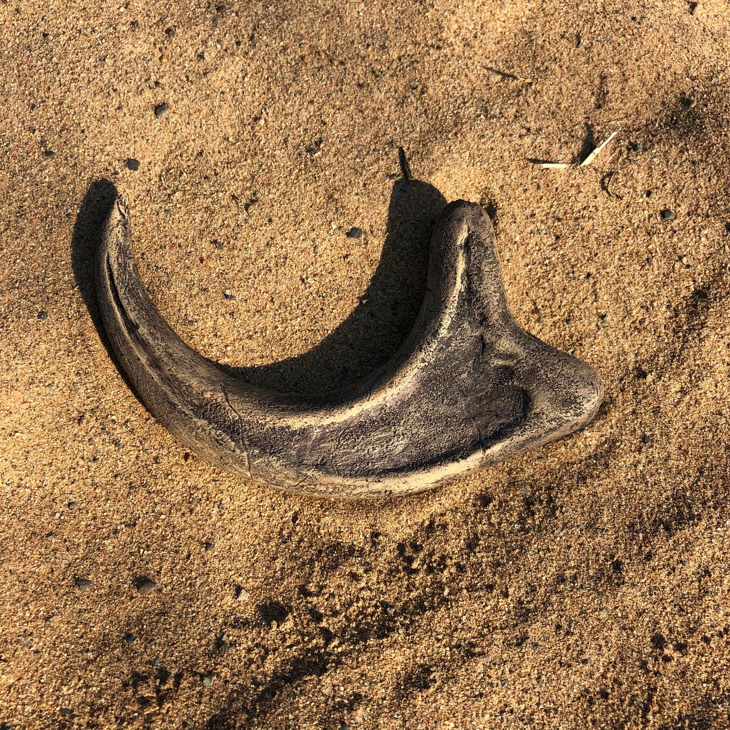 Raptor Claw Tape Head