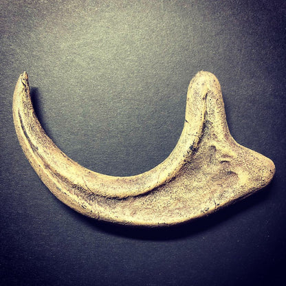 Raptor Claw Tape Head